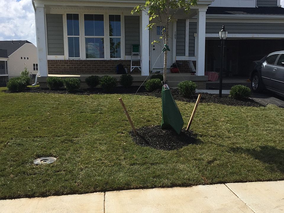 1st image of 109 Ironweed Dr