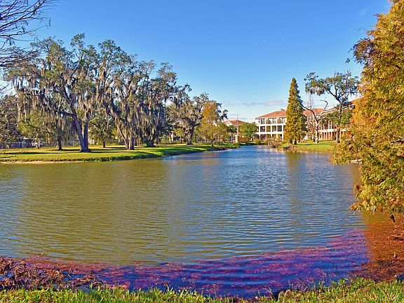 5th image of 4891 Tuscan Loon Dr
