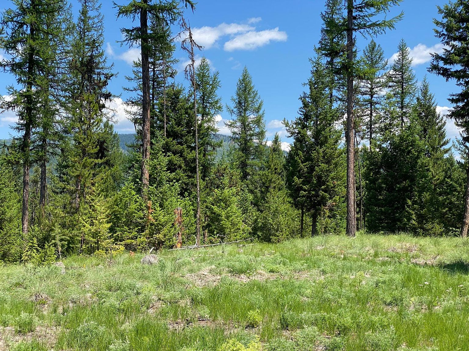 1152 Marion Hubbart Spur, Marion, MT 59925 Zillow