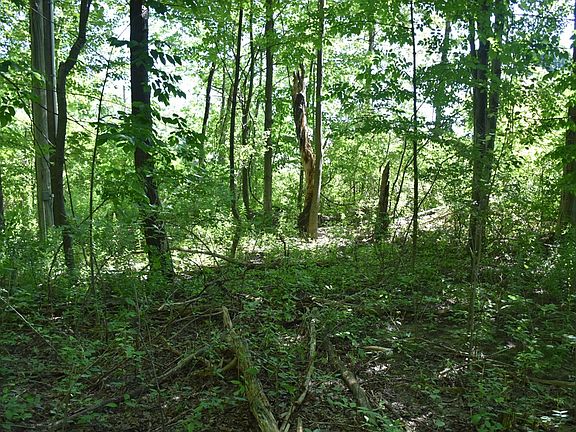 5th image of 3210-72-6 Blooming Valley Rd