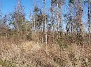 283 Independent School Rd, Reevesville, SC 29471