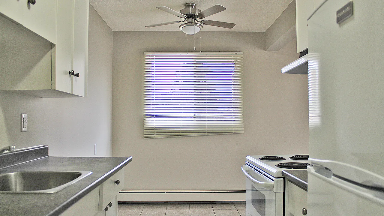Camelia Court — Photo 1