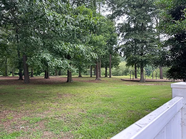 5404 Chatham Hall Dr — Photo 52