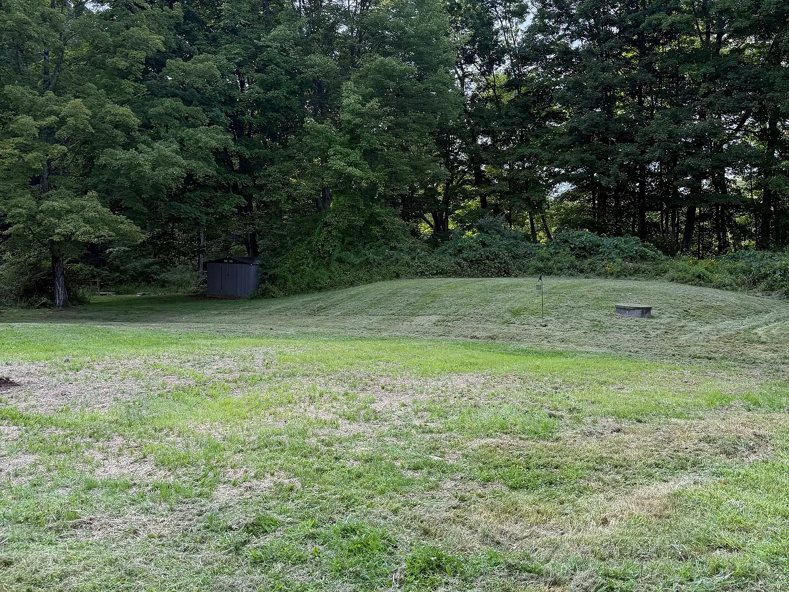 4 bed, 2.5 bath, 2060 sqft, $3,500 — Photo 3