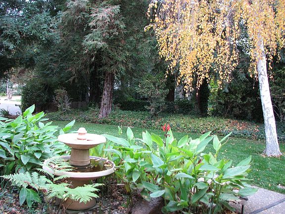 Front Yard