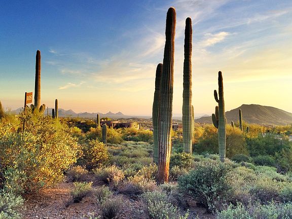 5th image of 41819 N Saguaro Forest Dr