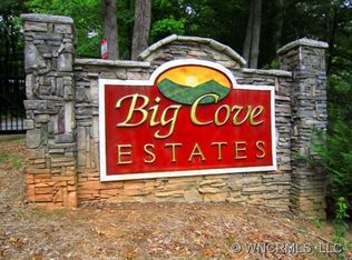 110 Vintage Rd, Candler, NC 28715