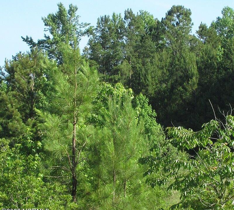 2nd image of 0 Us 117 Highway