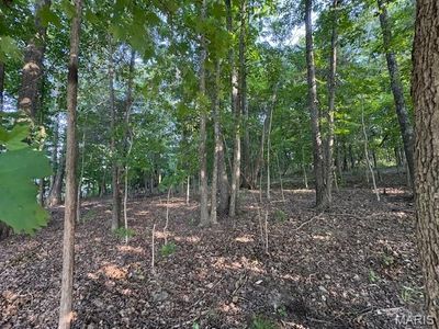 0 E Vista Dr, Hillsboro, MO, 63050