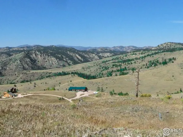 59 Bobcat Mountain Ct, Livermore, CO 80536