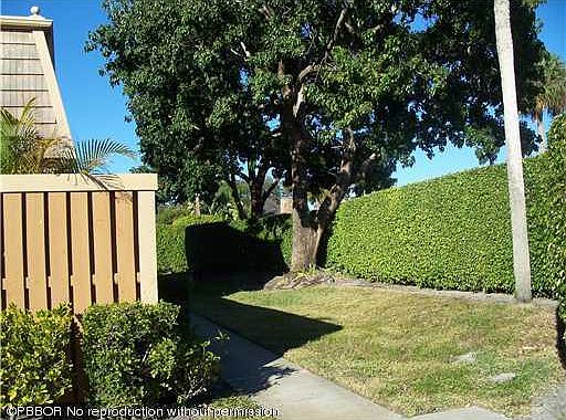 2nd image of 11707 Ficus #21-A