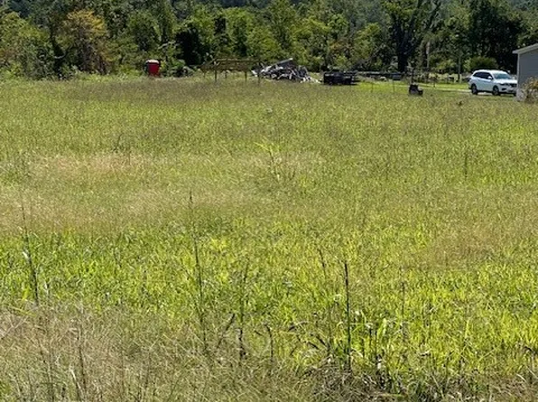 1635 Marion County #4010-14, Yellville, AR 72687