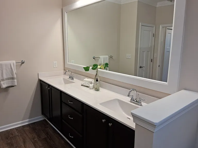 Primary Bathroom Sinks