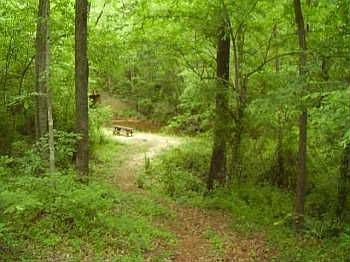 Stream in back