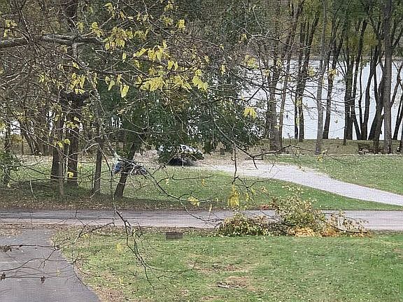 View from back of house