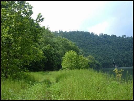 5th image of Long Beard Ln