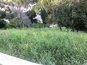 2nd image of 438 Quail Dr