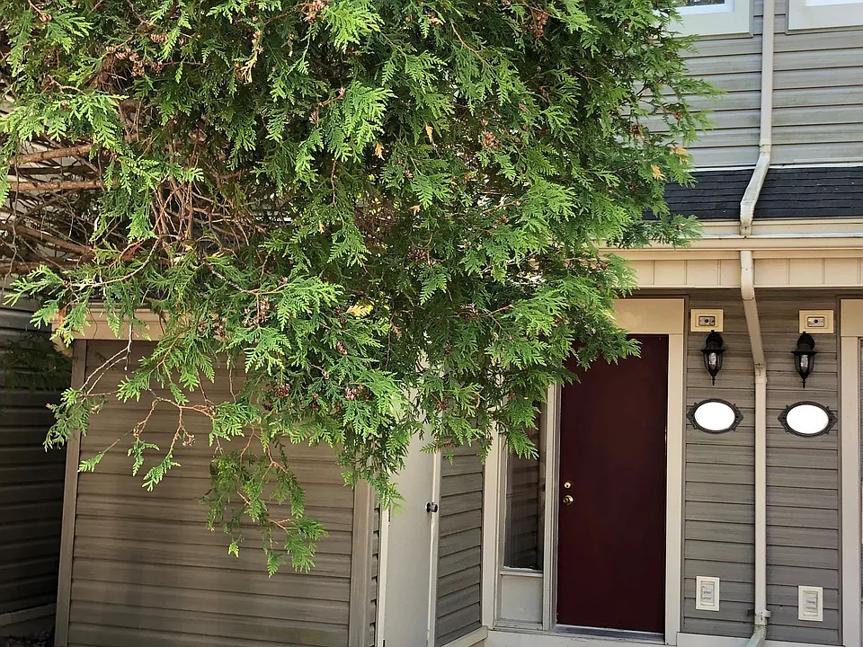 466 Oxbow Cres #6