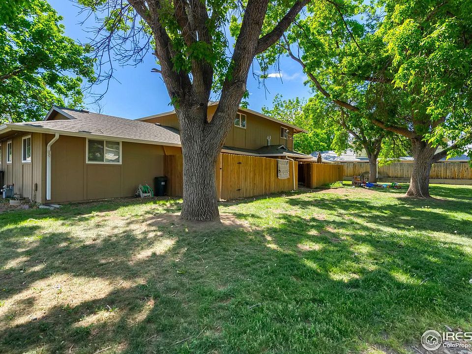 Mature trees in backyard