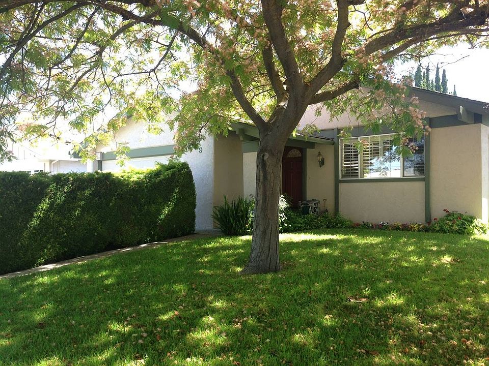 Front Lawn