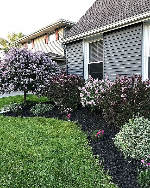 2nd image of 180 Lawnwood Dr
