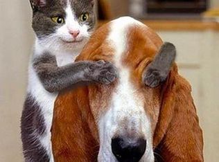 600 Chapel Lake Dr APT 202, Virginia Beach, VA 23454