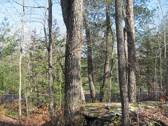 4th image of 0 Forest Hill Ct Lot 16