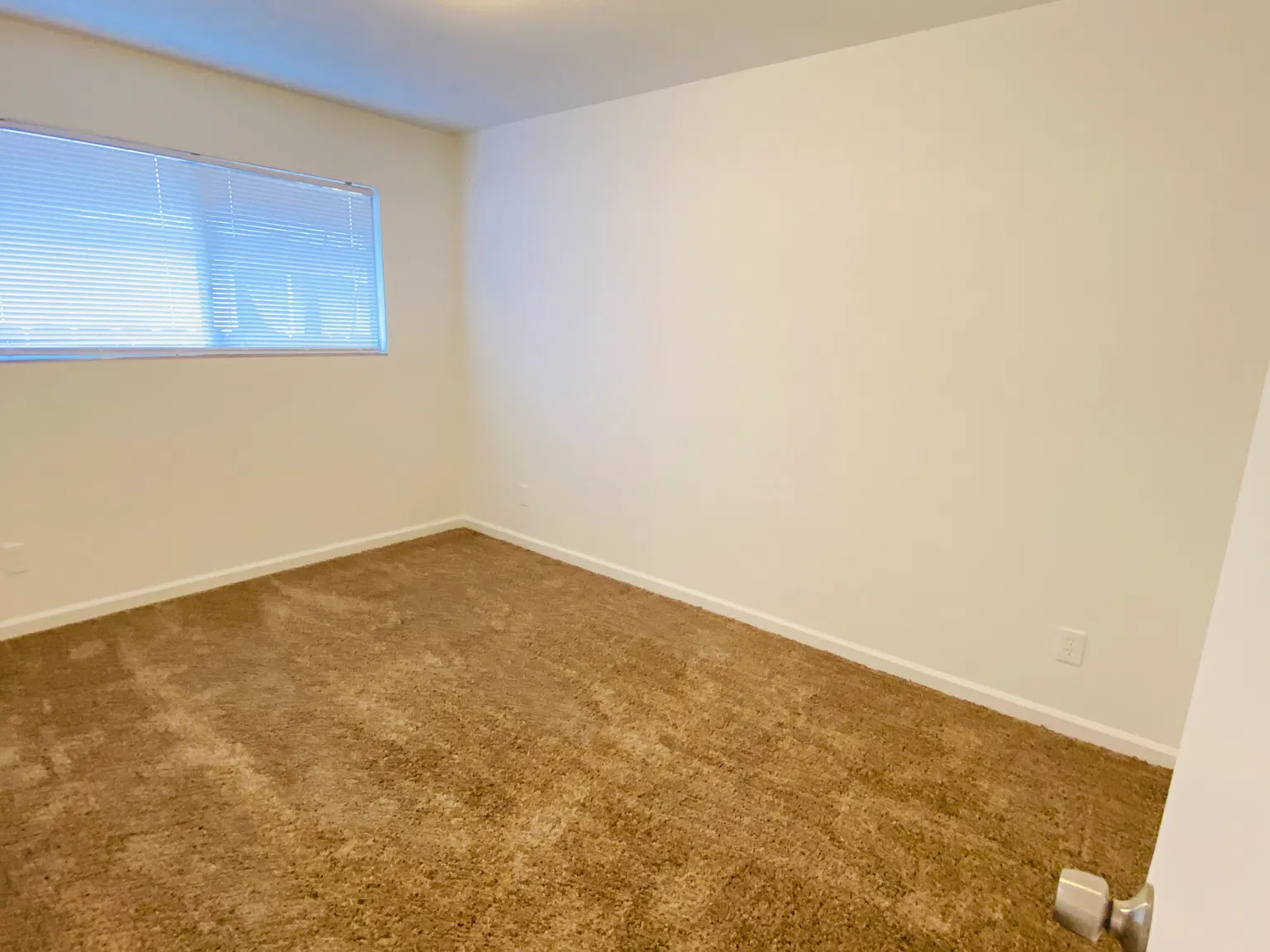 421 Sycamore Ave — Photo 4