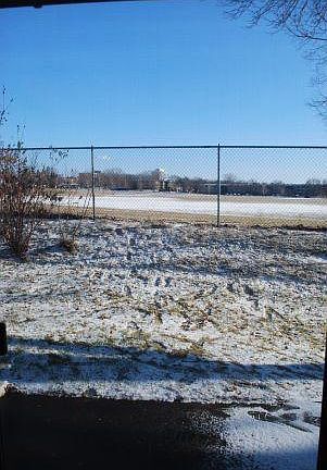 backyard view