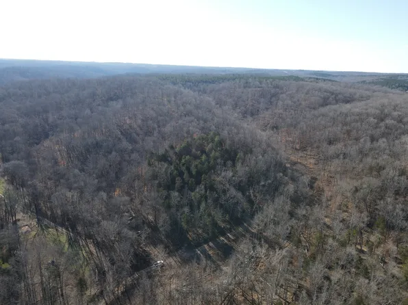 0 Busby Cemetery Ln, Stewart, TN 37175