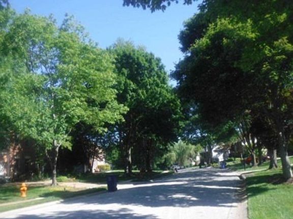 Exterior Neighborhood (street photo)