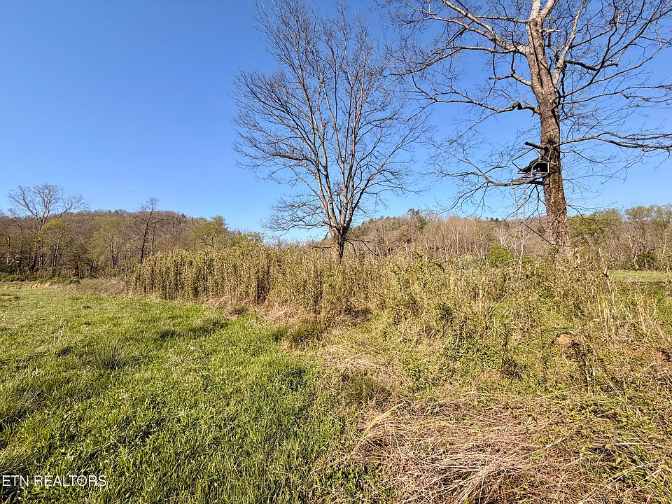 31st image of 5640 Brimstone Rd