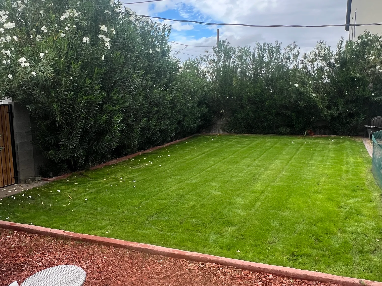 4238 N 45th Pl — Photo 3