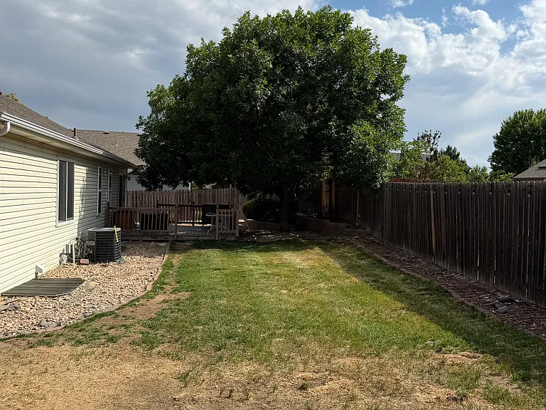 Back yard! Grass is regrowing still