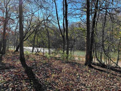 81 Butterfly Ln, Flippin, AR, 72634