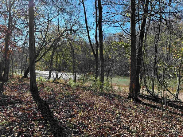 81 Butterfly Ln, Flippin, AR 72634