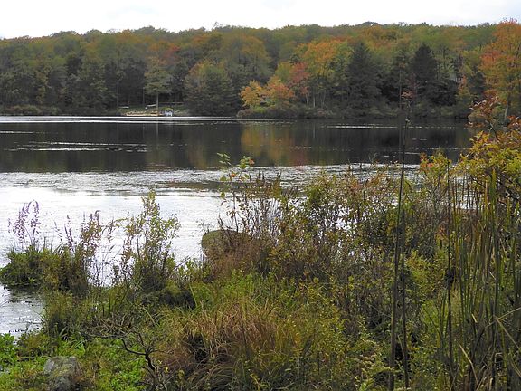 4th image of 815 Lake Dr E #F