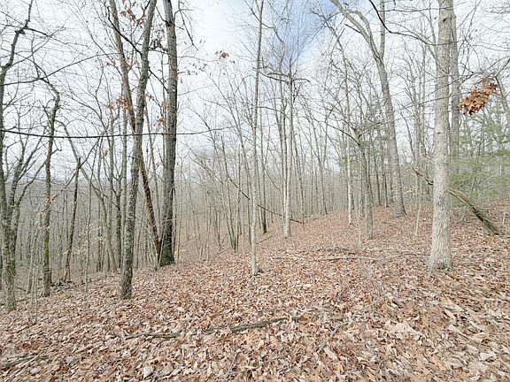 4th image of 0 Grouse Ridge Rd