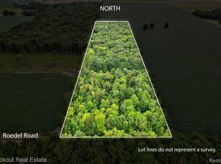 8000 Roedel Rd, Frankenmuth, MI 48734