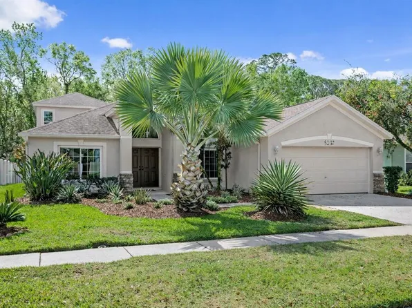 8263 Swann Hollow Dr, Tampa, FL 33647