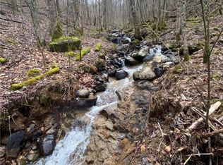 0 Elk Park Hwy, Elk Park, NC 28622