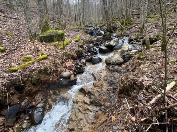 0 Elk Park Highway, Elk Park, NC 28622