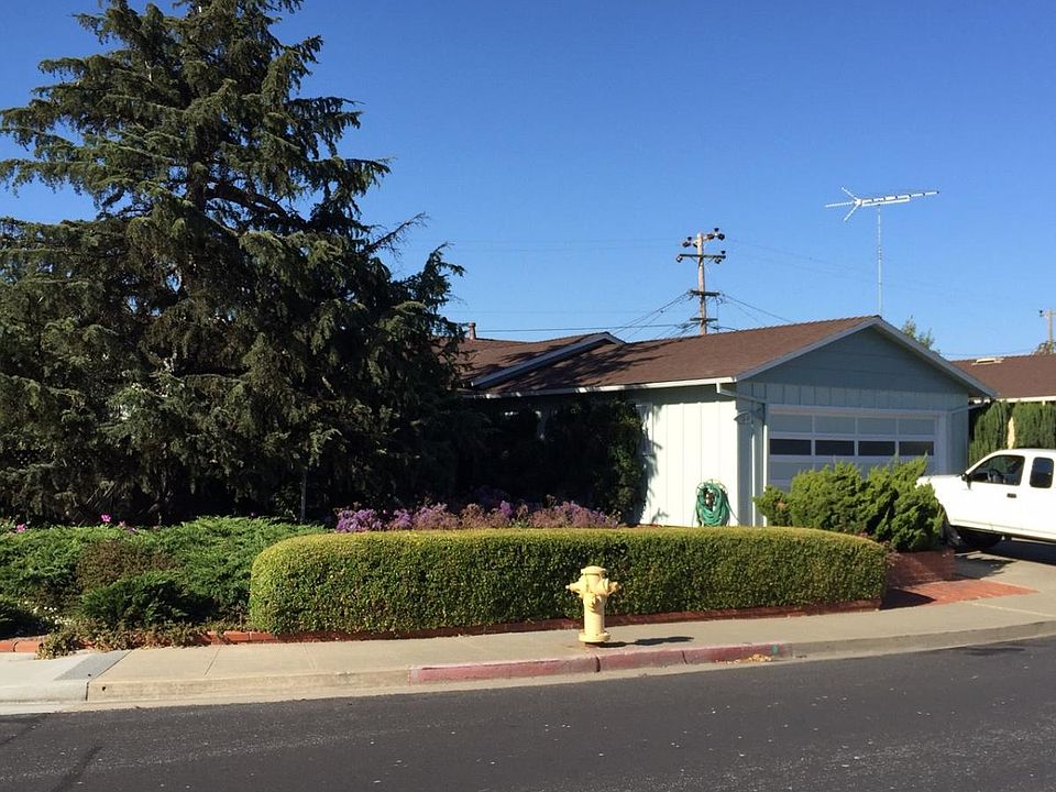 Street View - Corner Lot w/probably the best example of why to plant two staggerred rows of Boxwood for hedging, abundant juniper. The tree provides ample shade and privacy for the south-facing frontage.