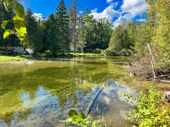146 2nd St, Hubbard Lake, MI 49747