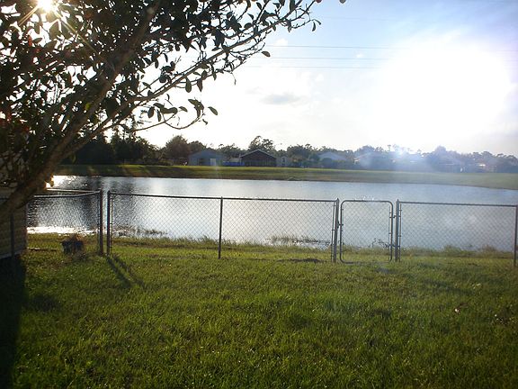 Backyard - Lake Front Property