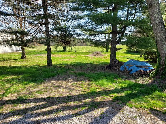 Spacious back yard