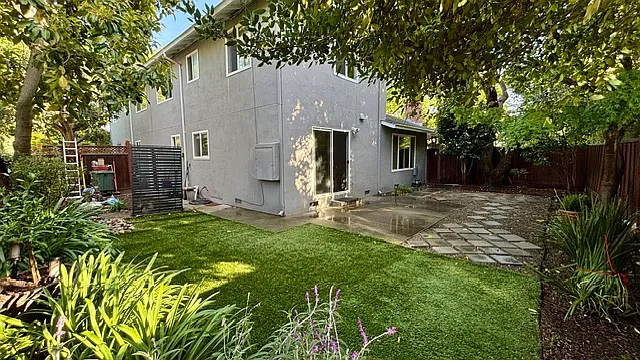 Back Yard