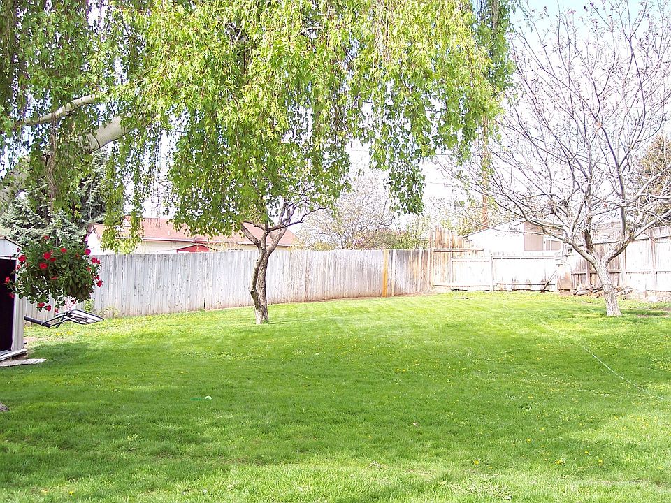Huge Back Yard