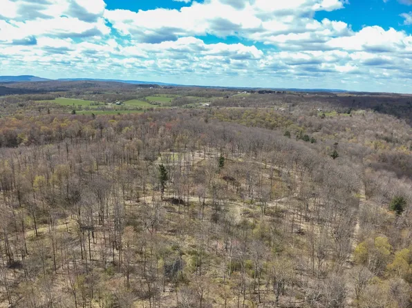 0 Murray Creek Rd, Athens, PA 18810