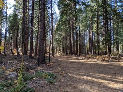 16506 Lowell Hill Rd, Nevada City, CA, 95959
